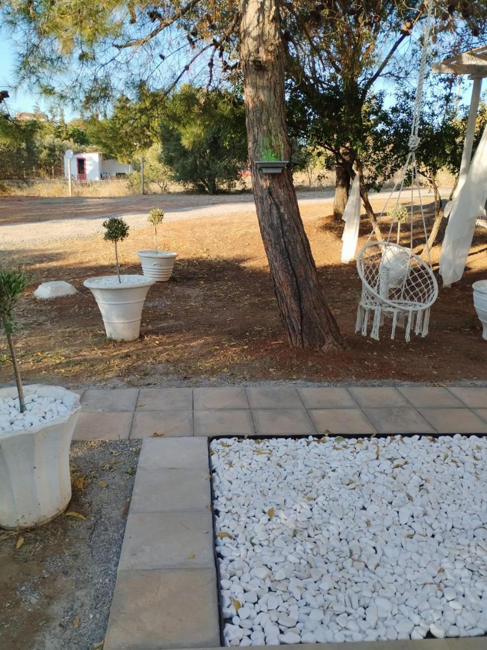 Black N' White Cozy Housegarden Alexandroúpoli Extérieur photo