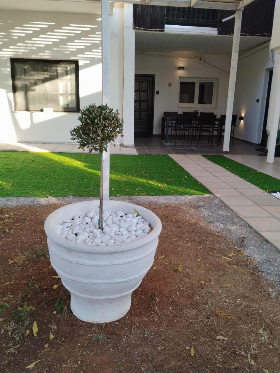Black N' White Cozy Housegarden Alexandroúpoli Extérieur photo